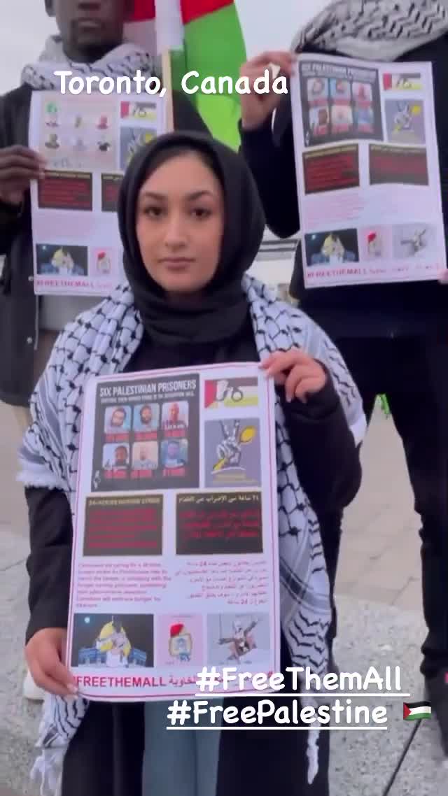 Maleeha Haq mp4 video #1