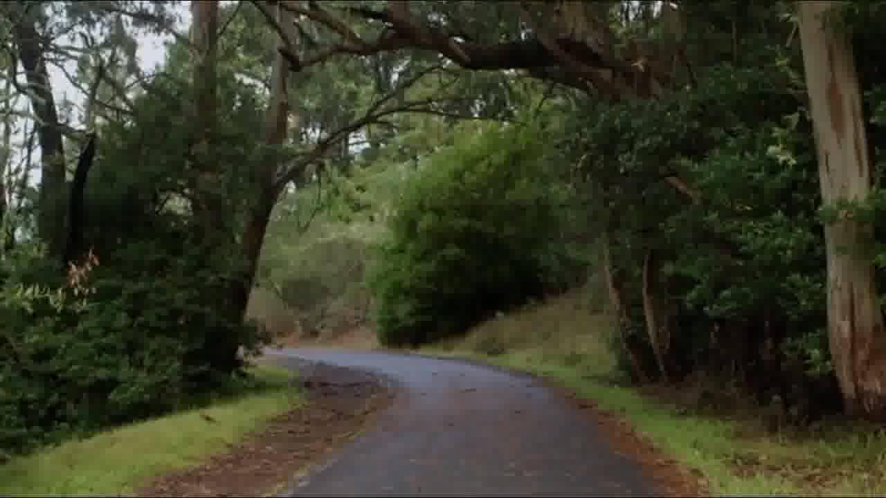 Evan Thomas Kuettner mp4 video #0