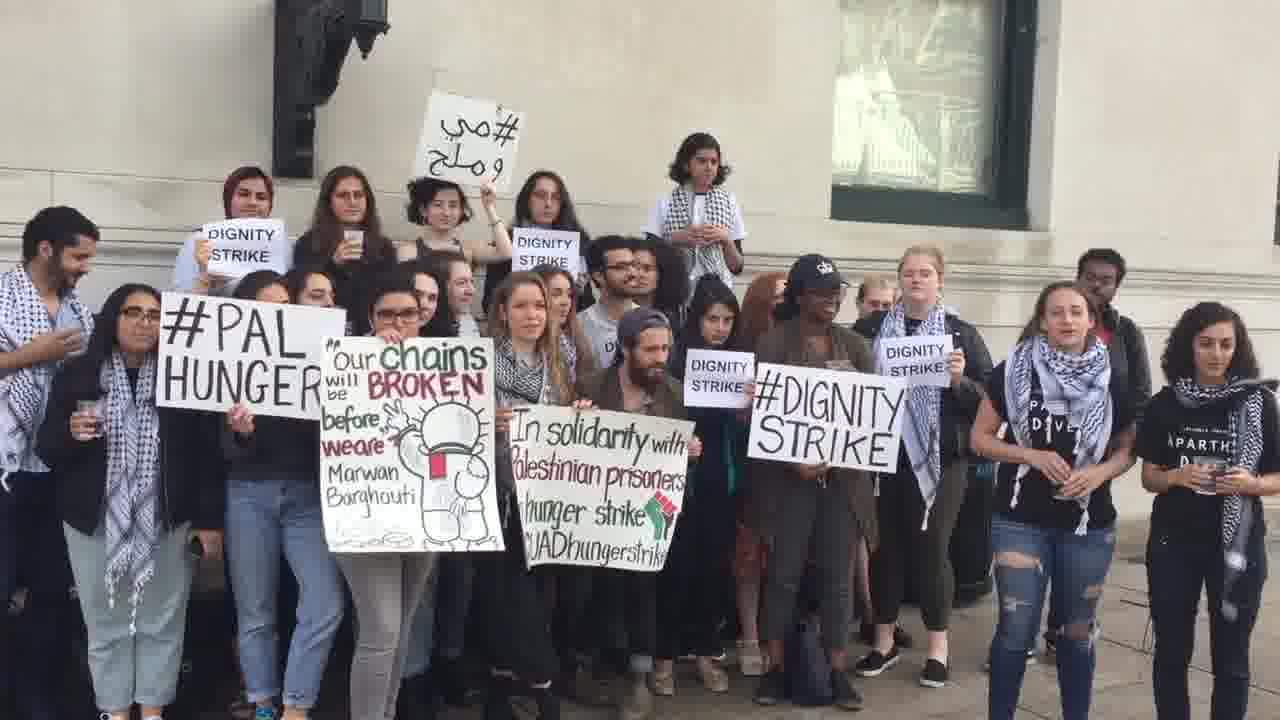 Jannine Masoud mp4 video #2