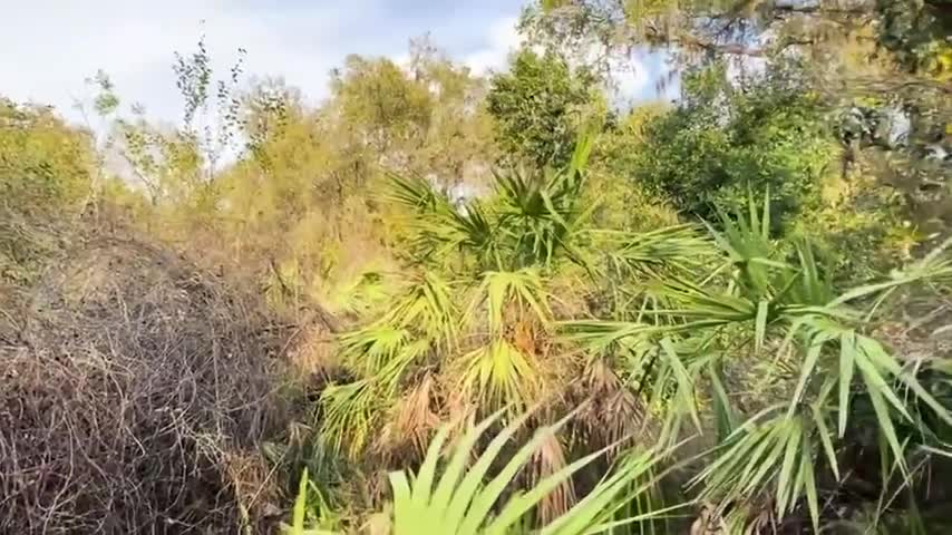 Jason Brown mp4 video #0