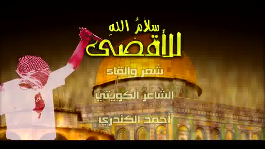 Sana Daoud mp4 video #1
