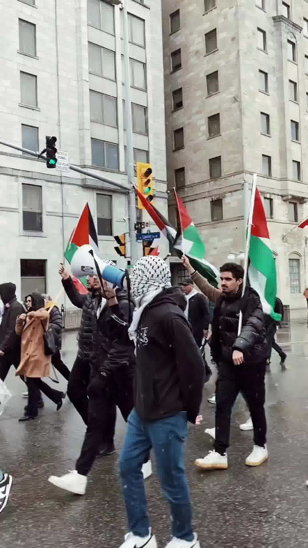 Dalida Alhaddad mp4 video #2