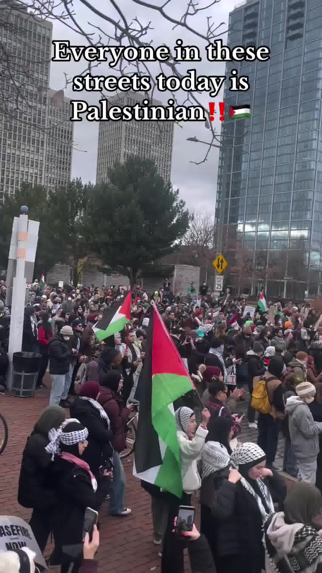 Samantha Rise mp4 video #3