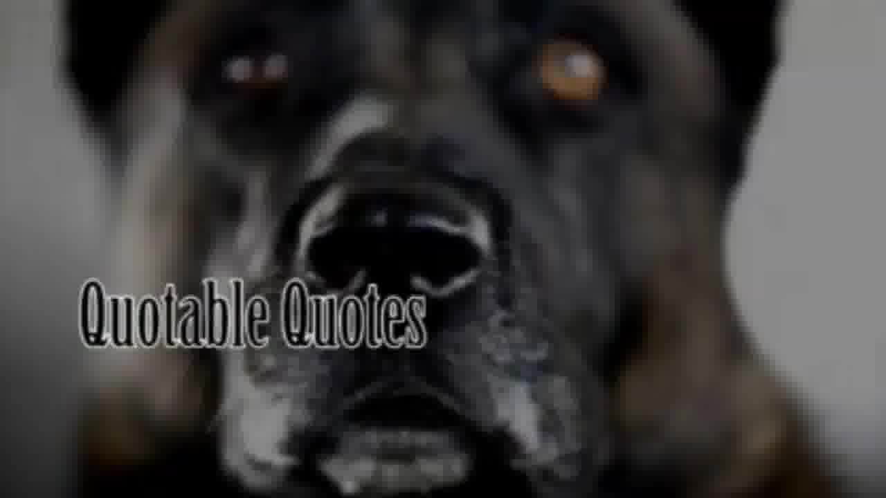 Rafiq Alqasem mp4 video #1