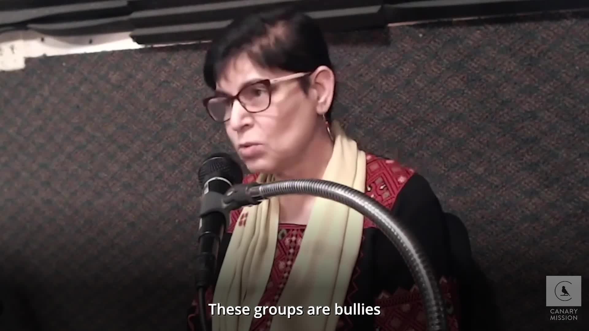 Rabab Abdulhadi mp4 video #0