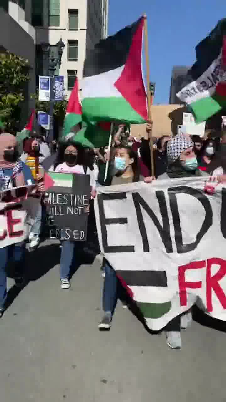 Subrein Damanhoury mp4 video #2