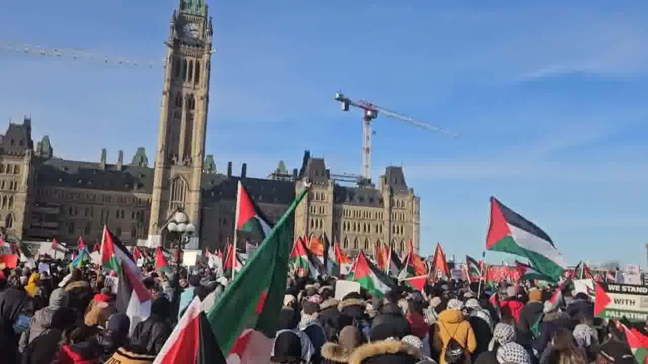 Sarah Jama mp4 video #0