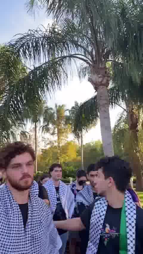Hana Seif mp4 video #0