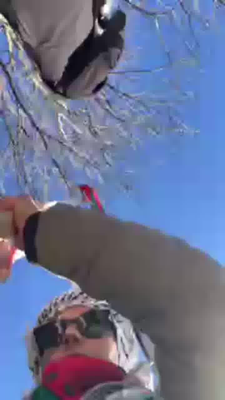 Mona Ayesh mp4 video #0