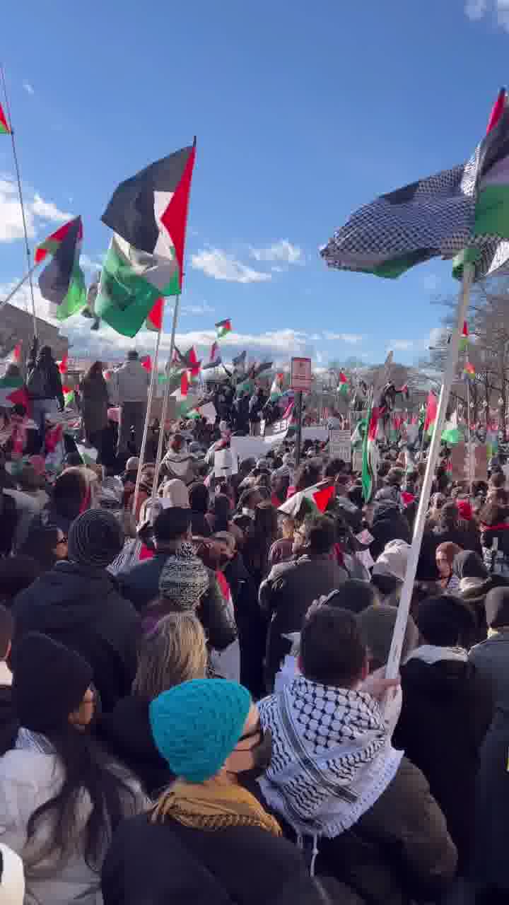 Jana Al-Suleiman mp4 video #2
