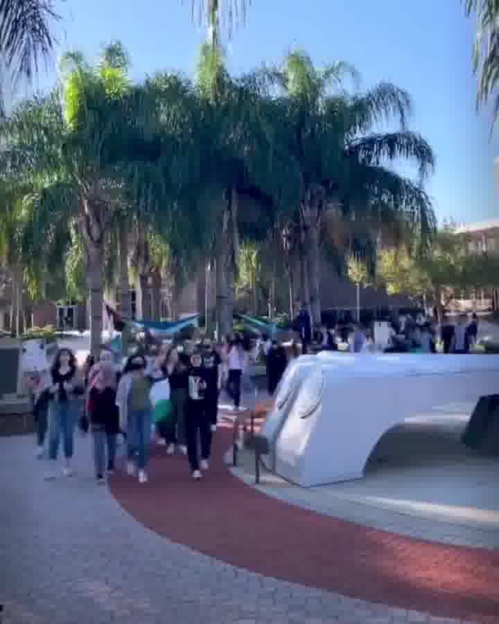 Tala Salameh mp4 video #3