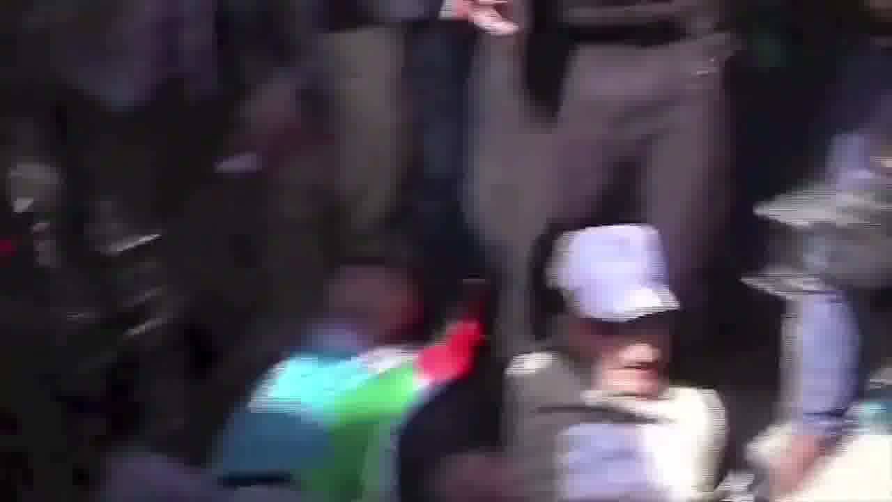 Motassem Nashawaty mp4 video #1